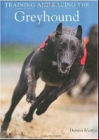Training and Racing the Greyhound