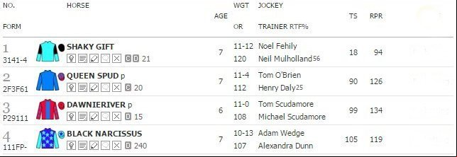 Race Card Horses